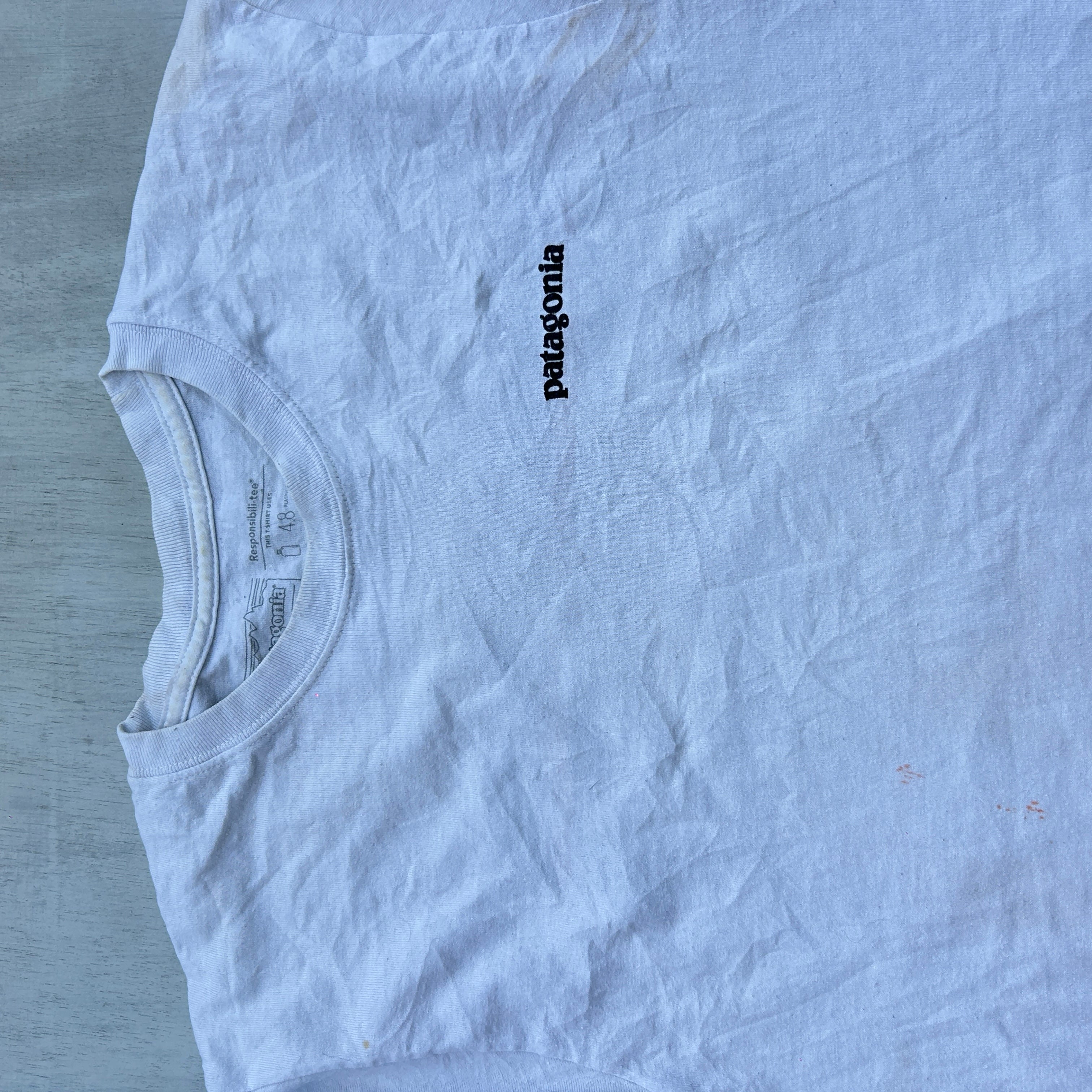 Patagonia Back Logo Tee