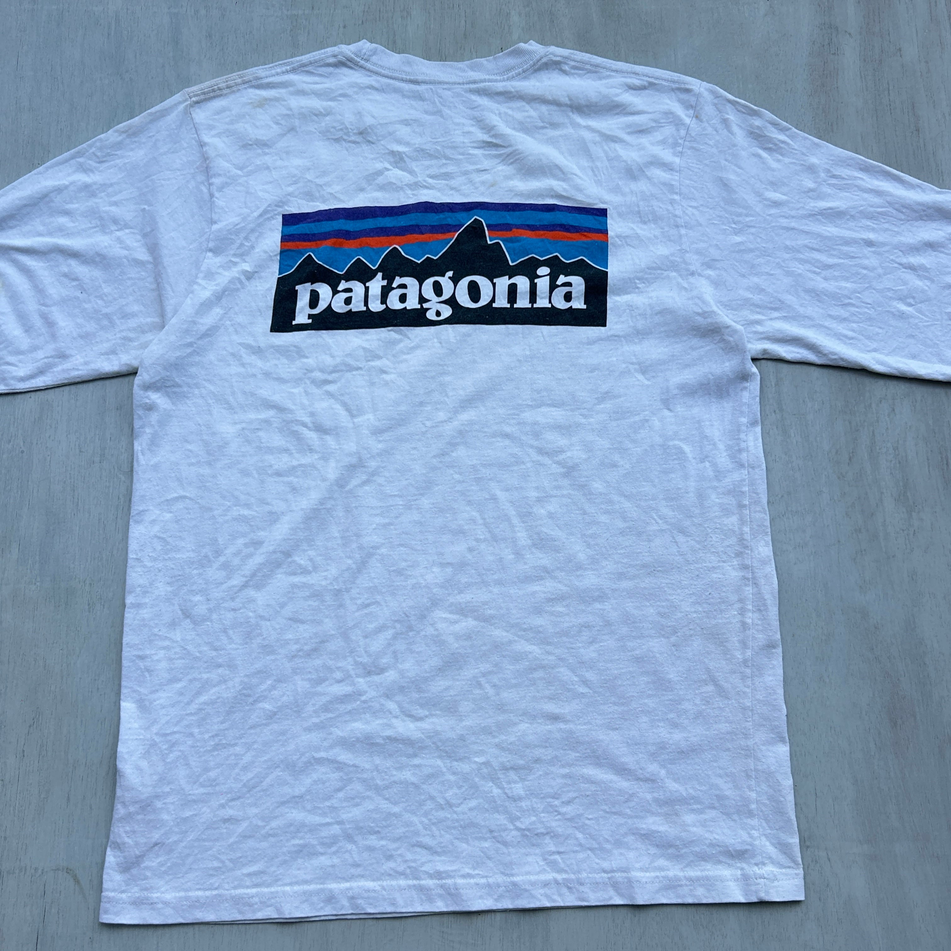Patagonia Back Logo Tee